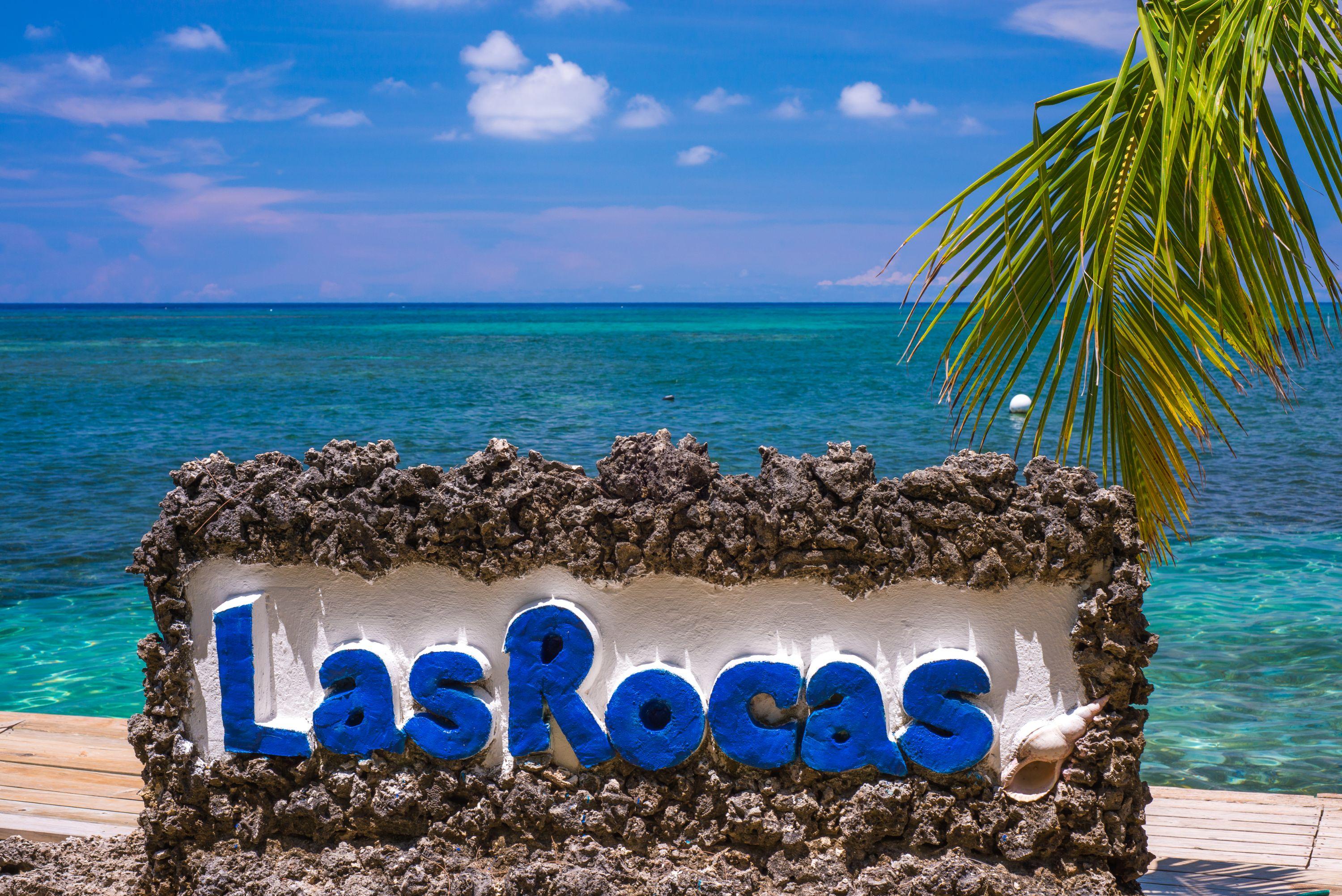 Las Rocas Resort And Dive Center West Bay Esterno foto