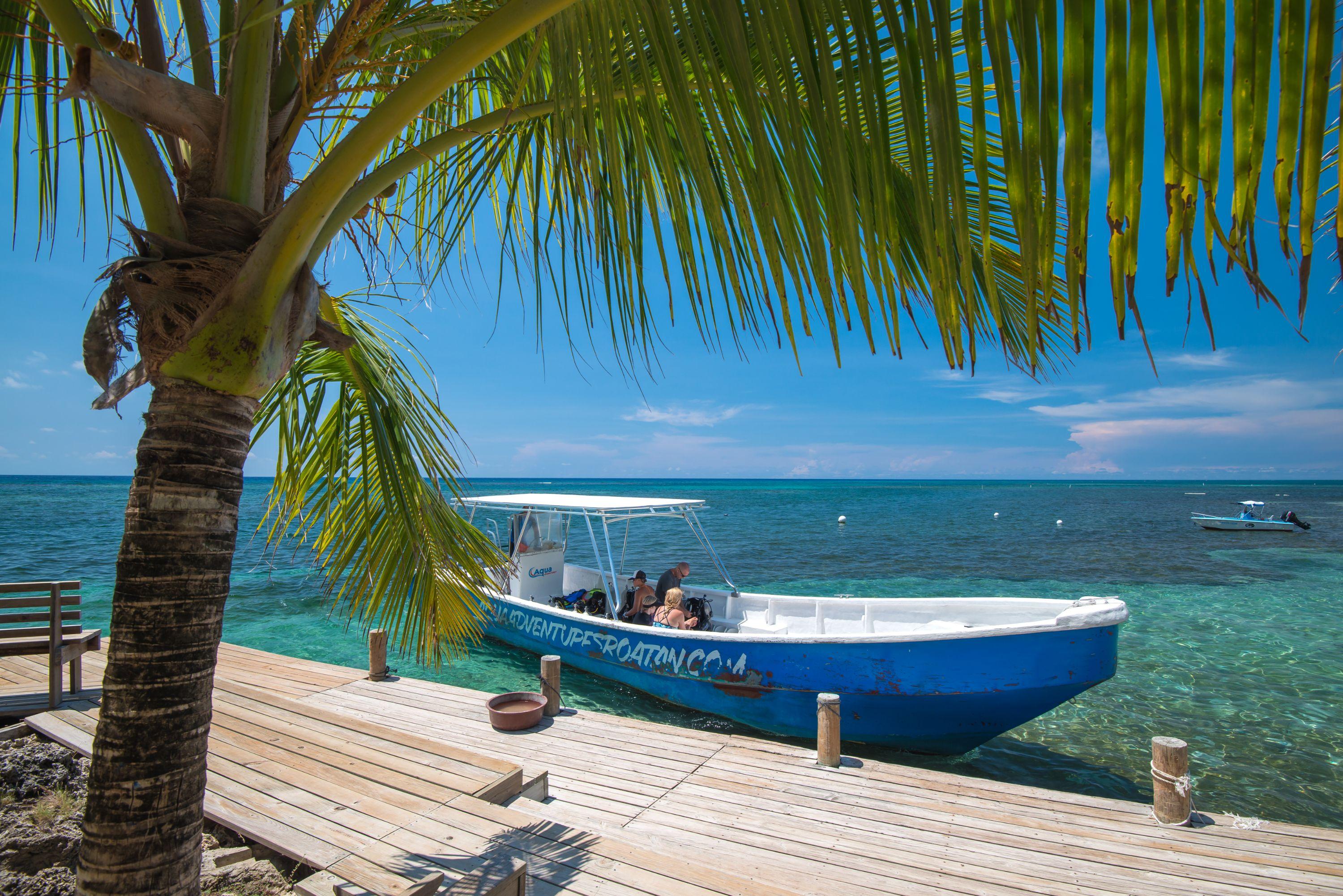 Las Rocas Resort And Dive Center West Bay Esterno foto