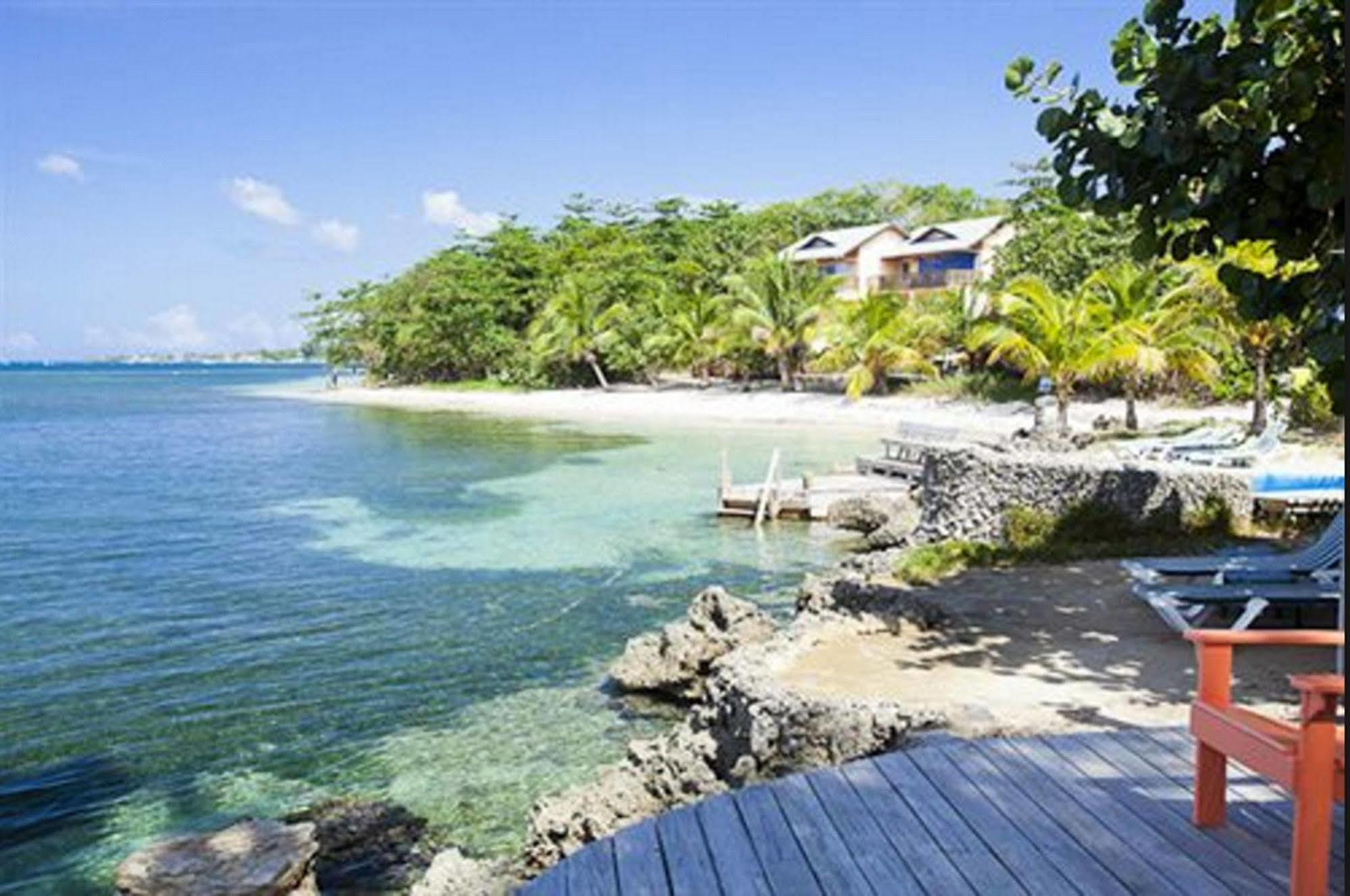 Las Rocas Resort And Dive Center West Bay Esterno foto