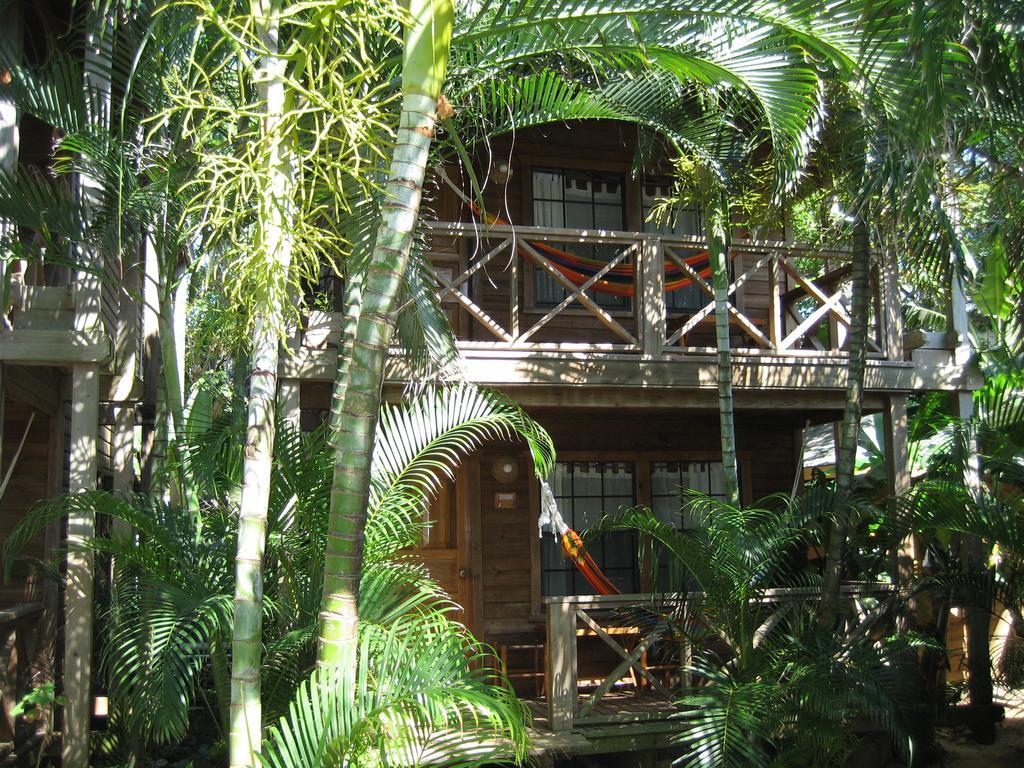 Las Rocas Resort And Dive Center West Bay Esterno foto