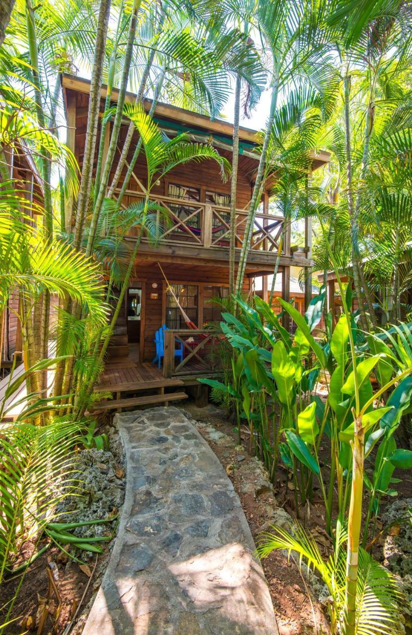 Las Rocas Resort And Dive Center West Bay Esterno foto